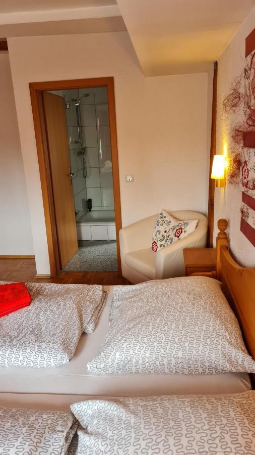 Hotel Kartaeuser Hof Mainz Bodenheim Buitenkant foto